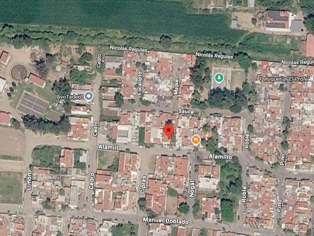 place photo 7