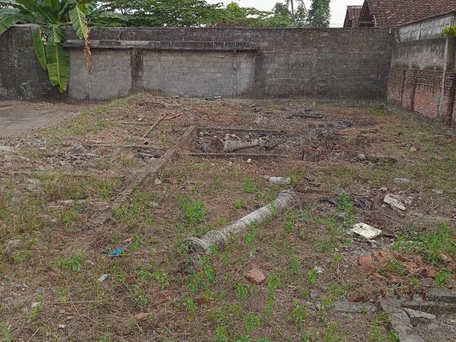 place photo 13