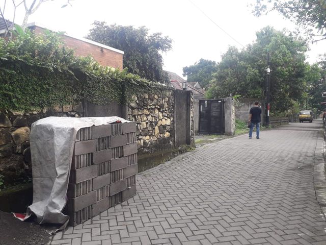 place photo 12