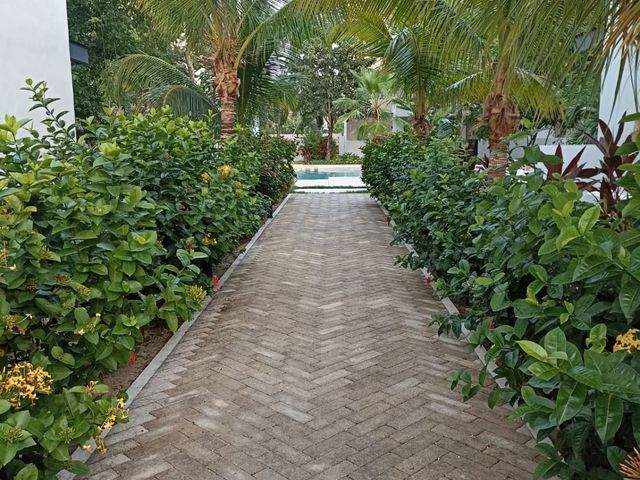 place photo 23