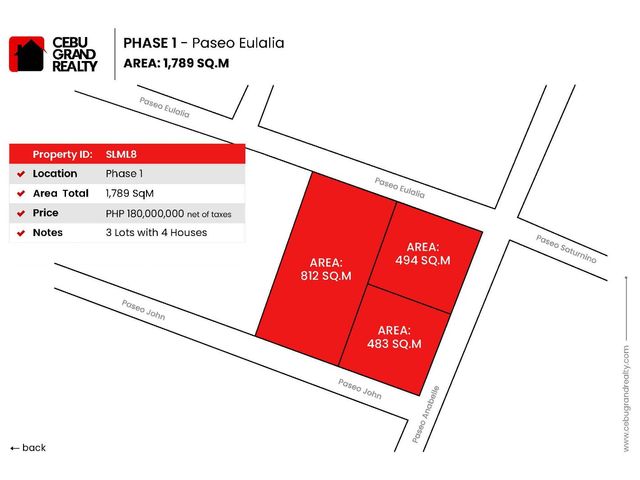 1789 SqM Prime 3 Lots with 3 Houses for Sale in Maria Luisa Park Phase 1