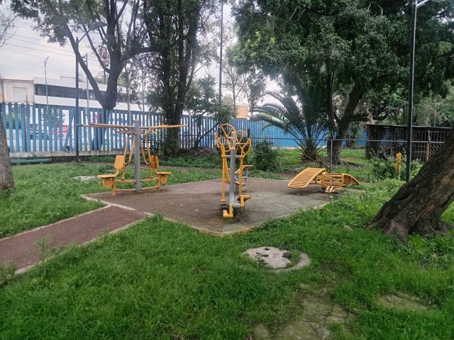 place photo 24