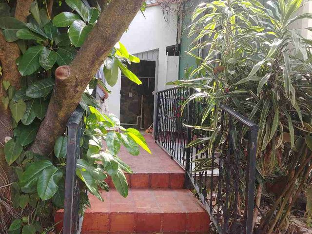 place photo 16