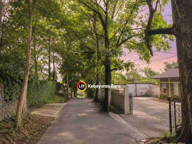 place photo 3