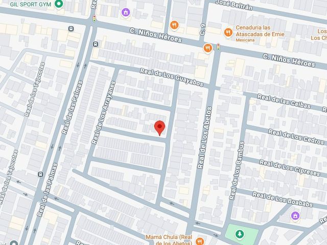 place photo 9