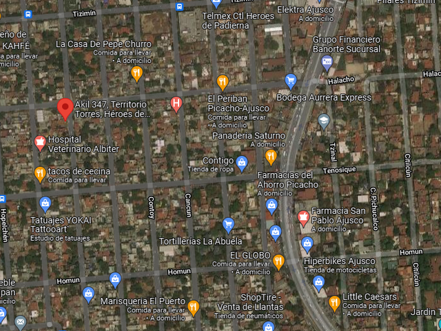 place photo 12