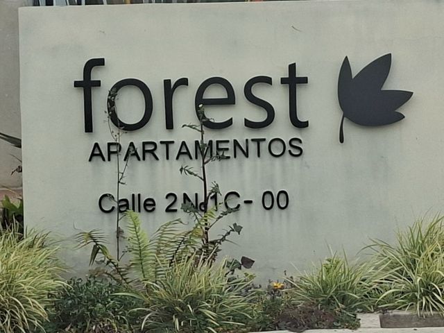 place photo 35