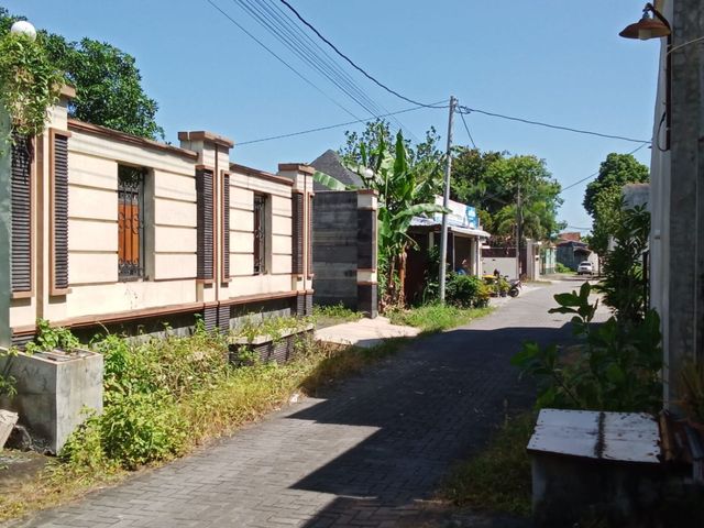 place photo 16