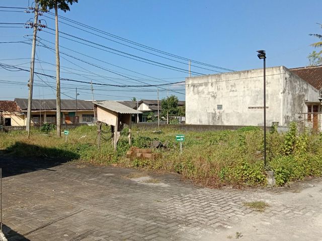 place photo 3
