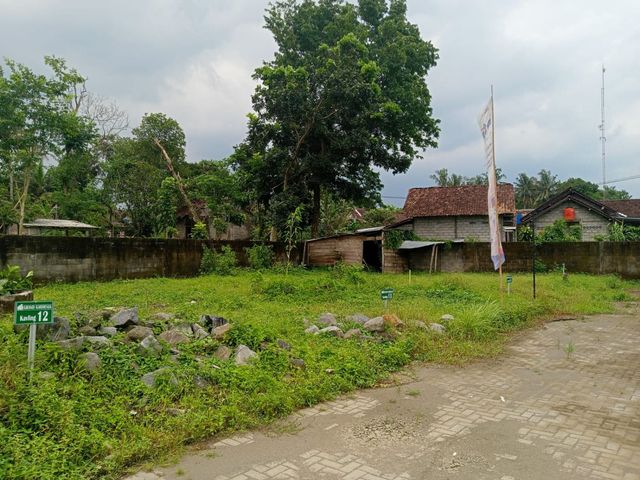 place photo 5