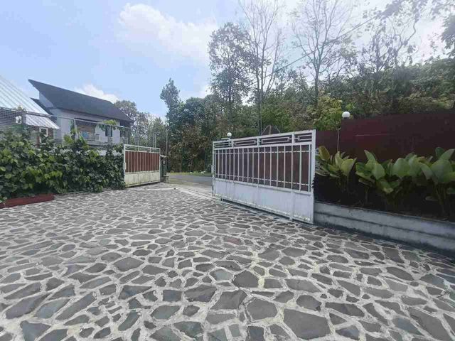 place photo 37