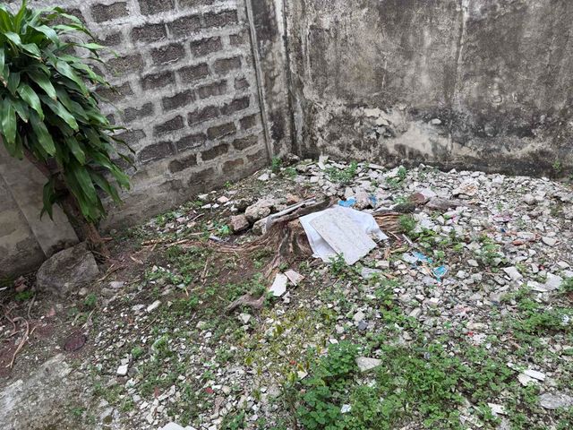 place photo 39