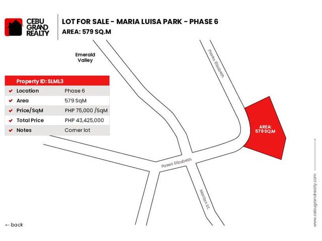 579 SqM Lot for Sale in Maria Luisa Park