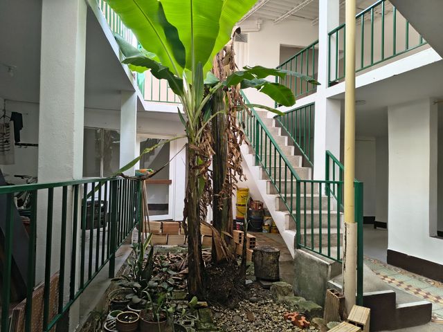 place photo 19