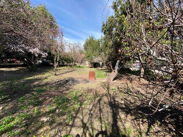 place photo 42