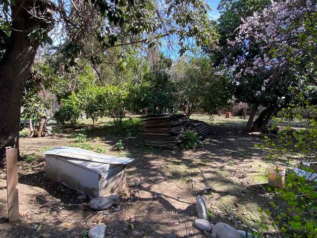 place photo 39
