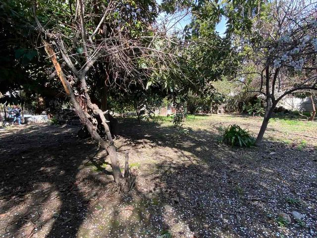 place photo 40