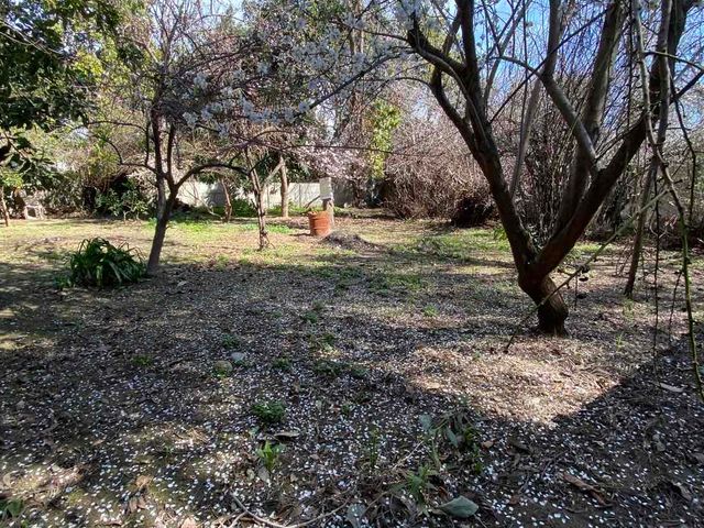 place photo 41