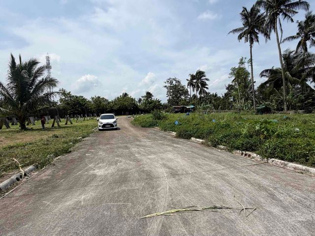 place photo 16
