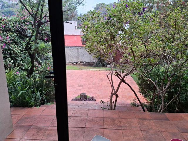 place photo 36