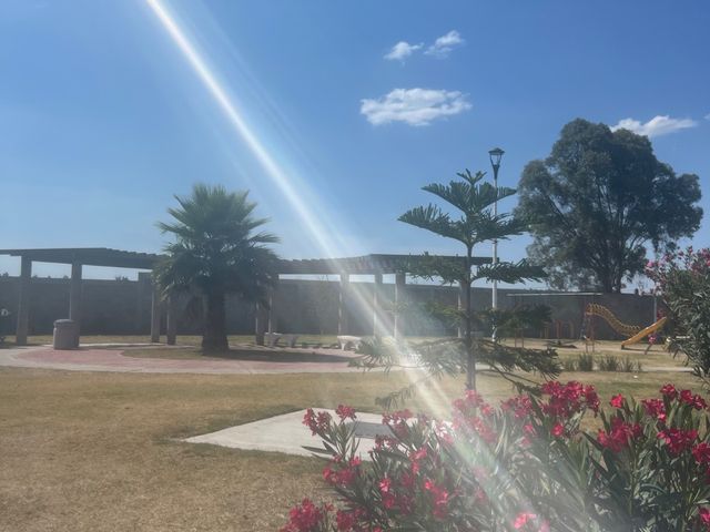 place photo 41