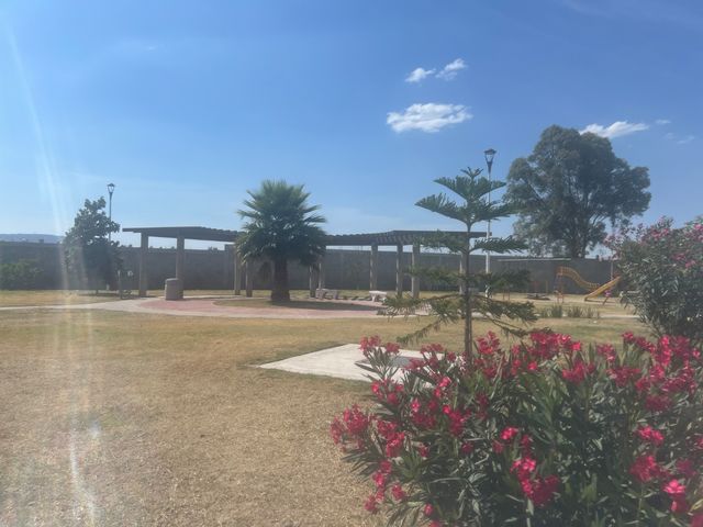 place photo 42
