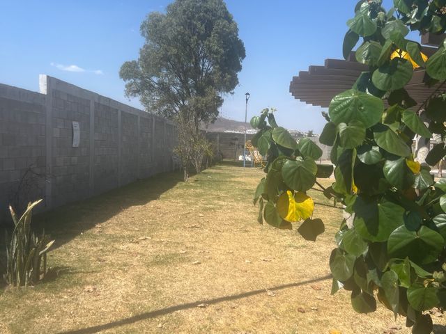 place photo 47