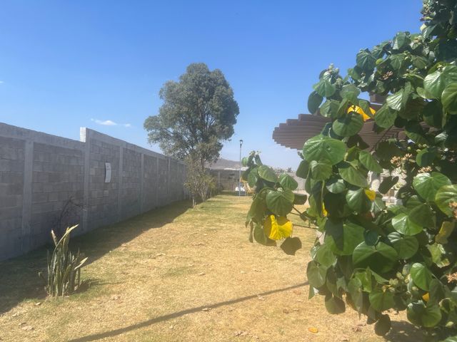 place photo 48