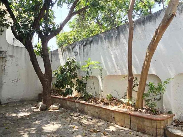 place photo 22