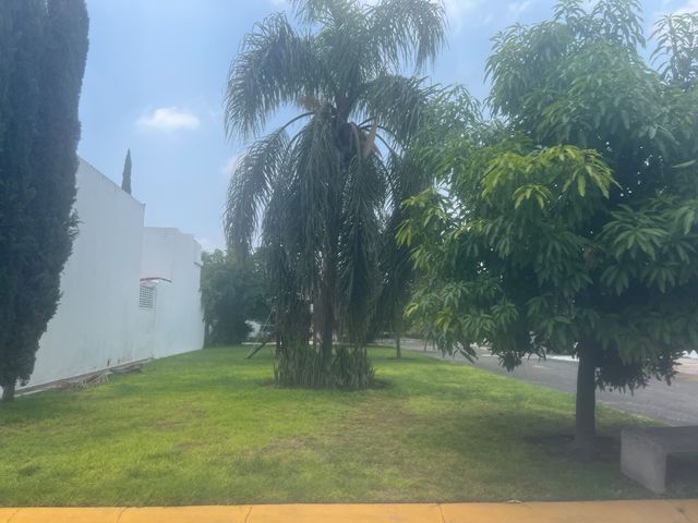place photo 57