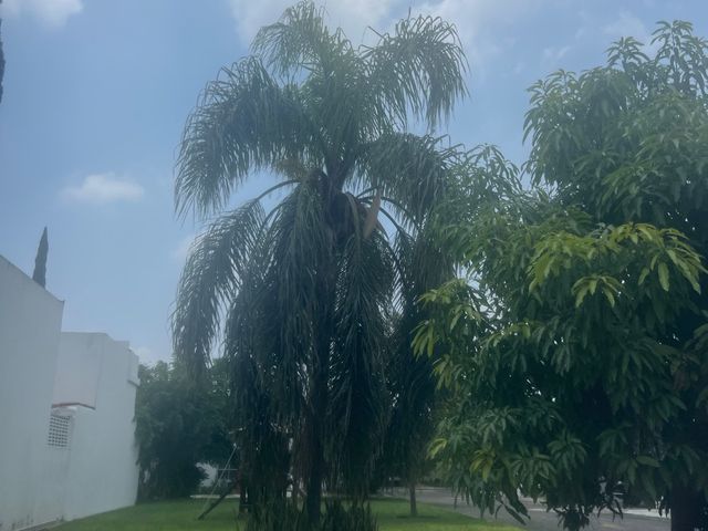 place photo 58
