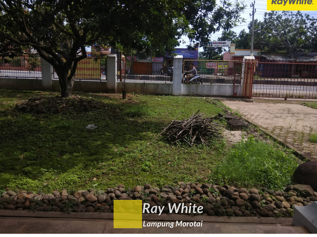 place photo 5