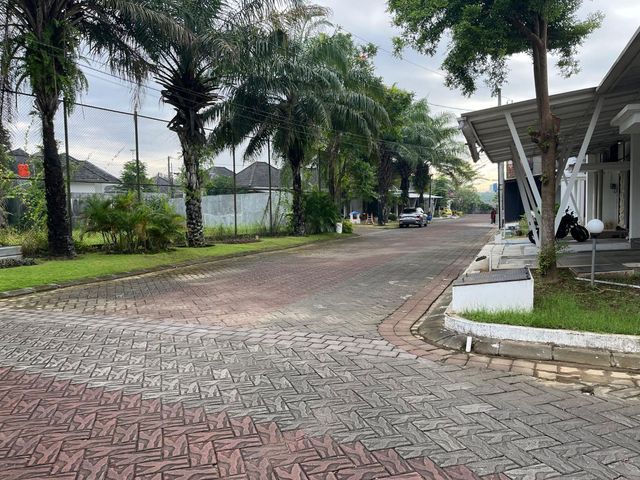 place photo 13