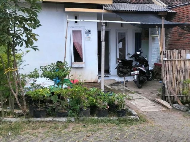 place photo 3