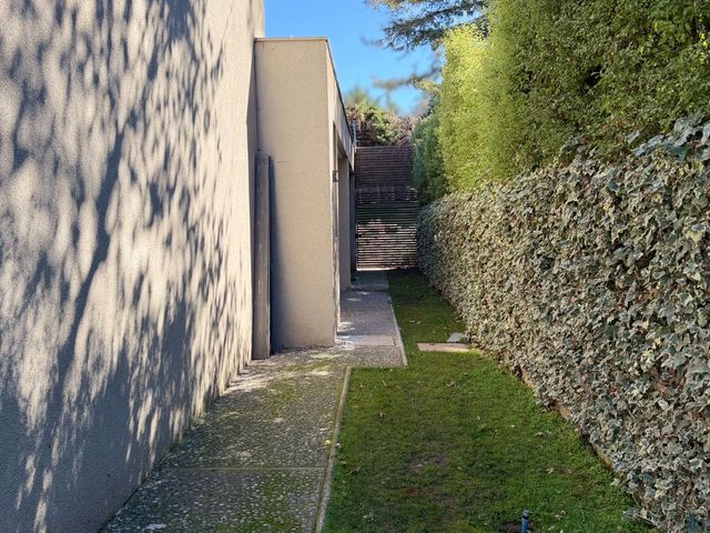 place photo 58