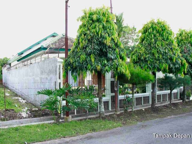 place photo 4