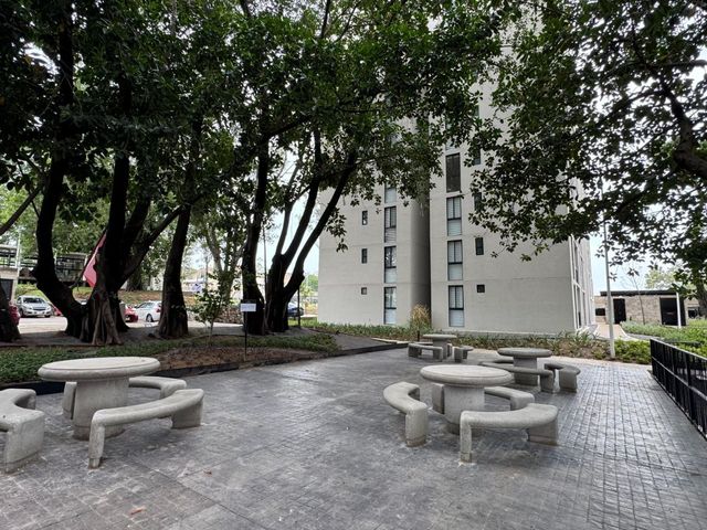 place photo 22