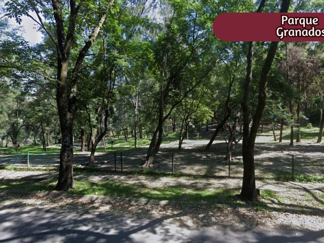 place photo 28