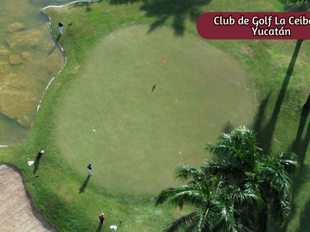 place photo 29
