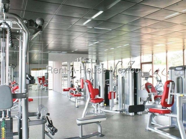 place photo 31