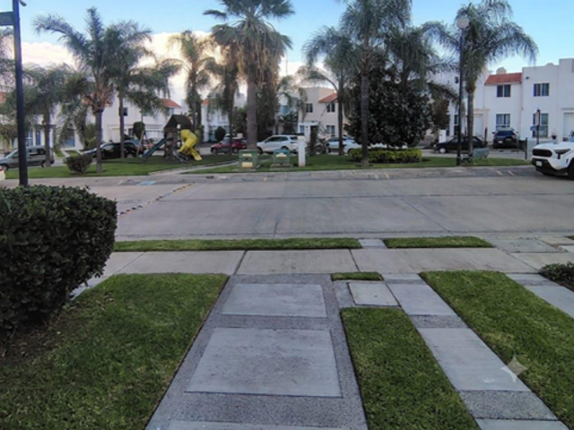 place photo 15