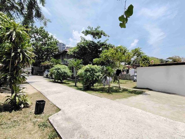 place photo 46