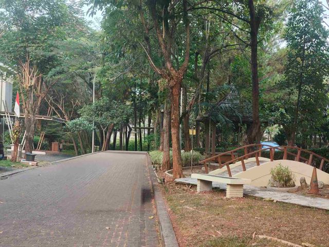 place photo 16