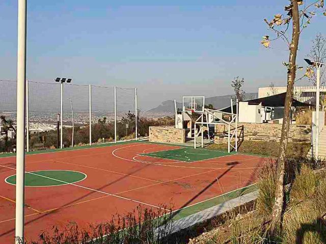 place photo 17