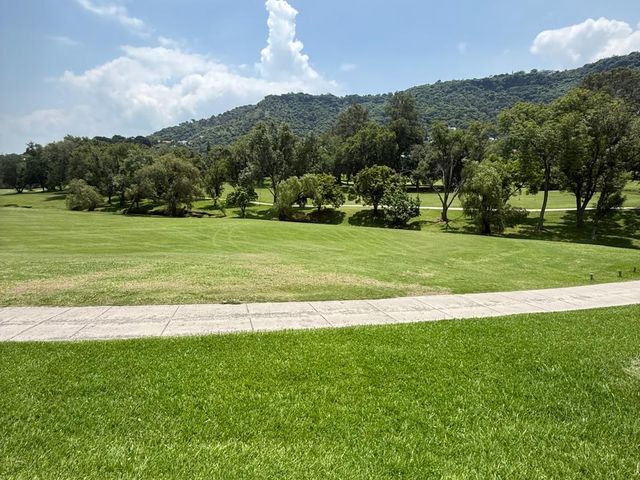 place photo 52