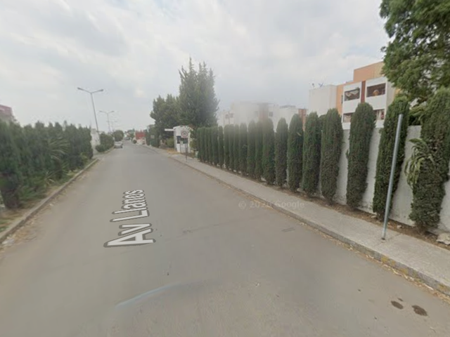 place photo 18