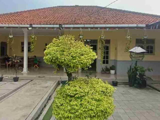 place photo 3