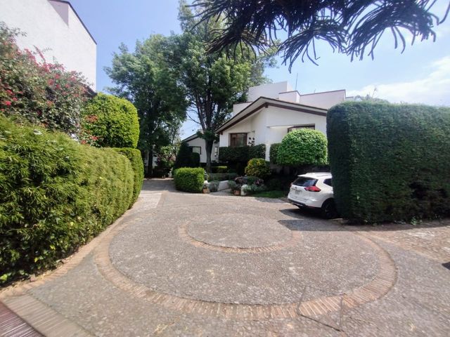 place photo 46