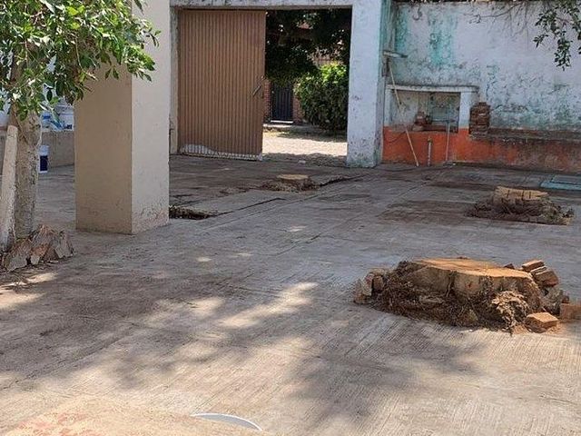place photo 20