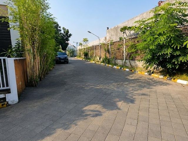 place photo 24